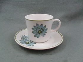 Noritake Day Dream C & S
